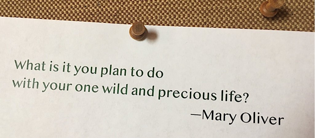 Mary Oliver quote